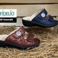 /Images/2020-2\Schoenen\Fidelio1.jpg - Schoenen d'Hondt